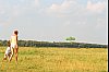 igor_grishin_AviaModelsDay_20080713_part3-26